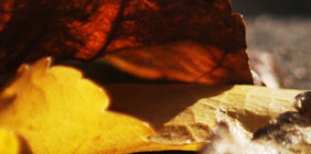 Your medical provider will certainly intend to see you consistently for your blood and renal or liver feature to be checked - to ensure Furosemide is functioning well for you.