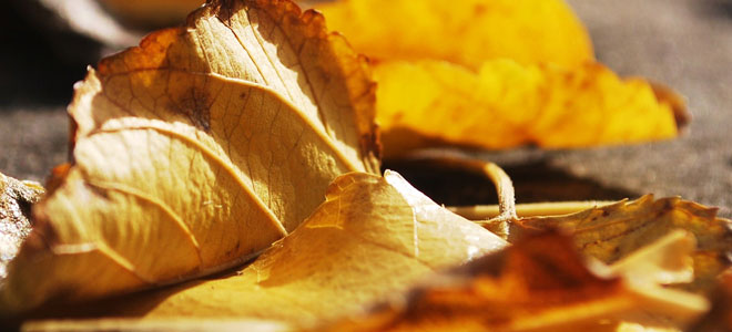 Unless these negative side effects disappear after a coupe of days they have to be reported to the medical professional that recommended Lasix and your dosage may have to be adjusted.